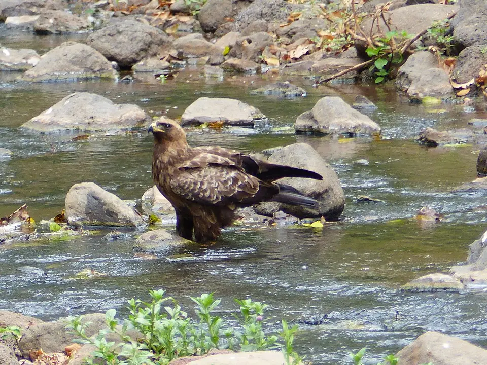 k-P1060669.JPG