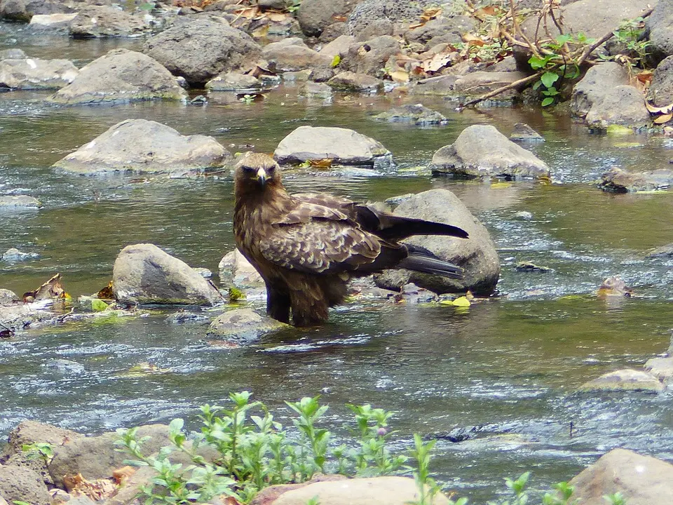 k-P1060670.JPG