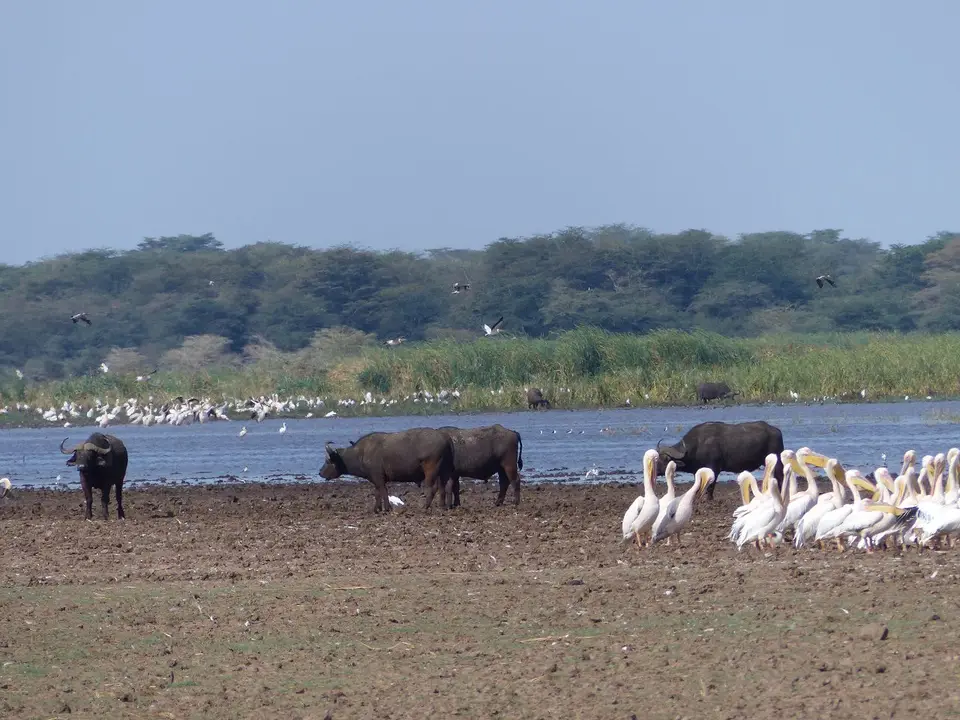 k-P1060791.JPG