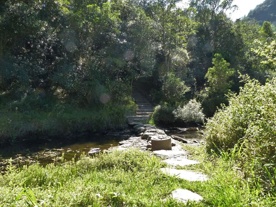 k-P1070997.JPG