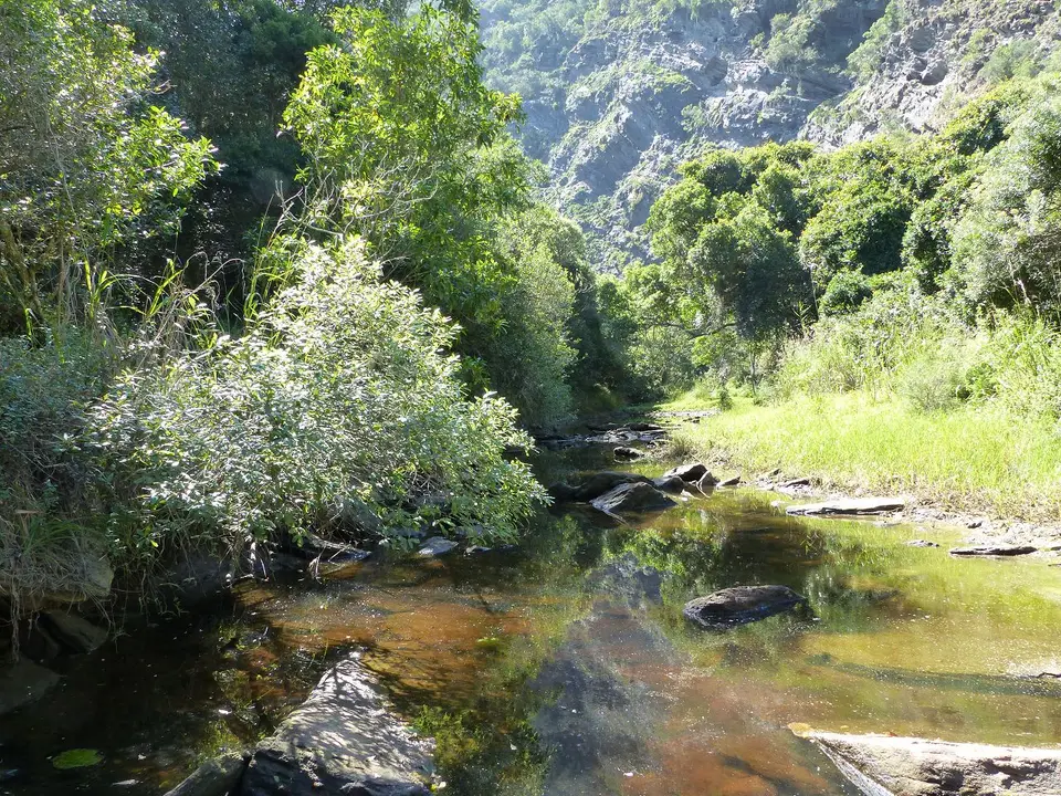 k-P1070998.JPG