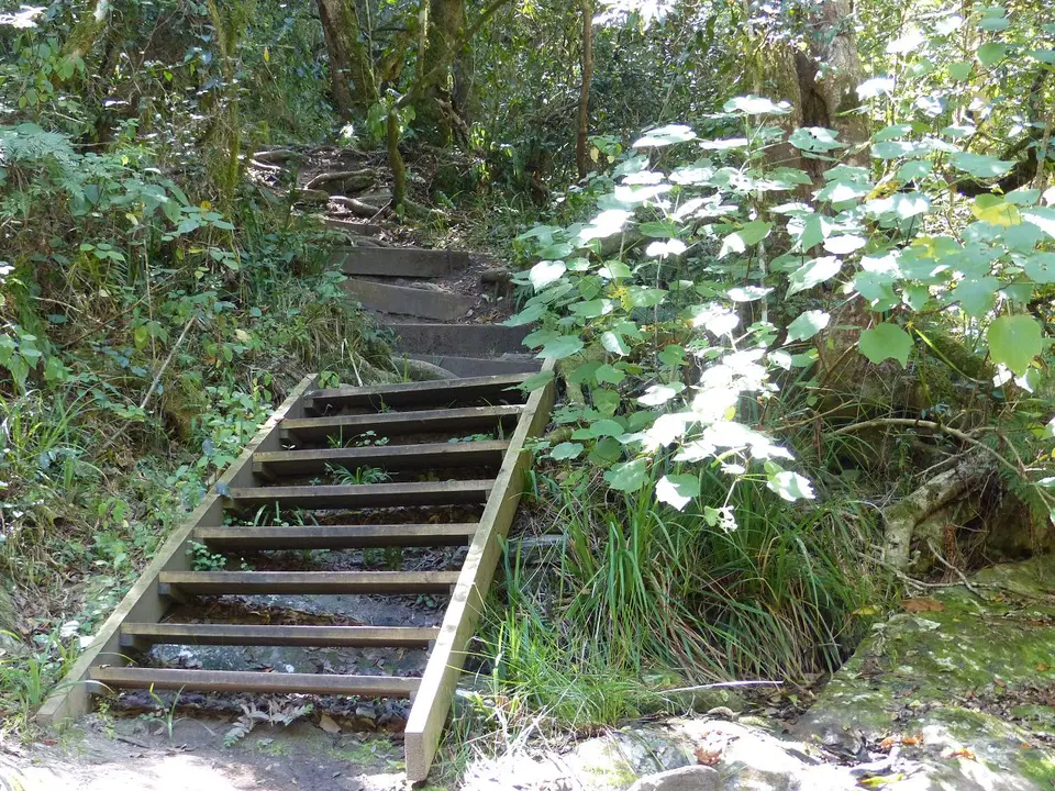 k-P1080009.JPG