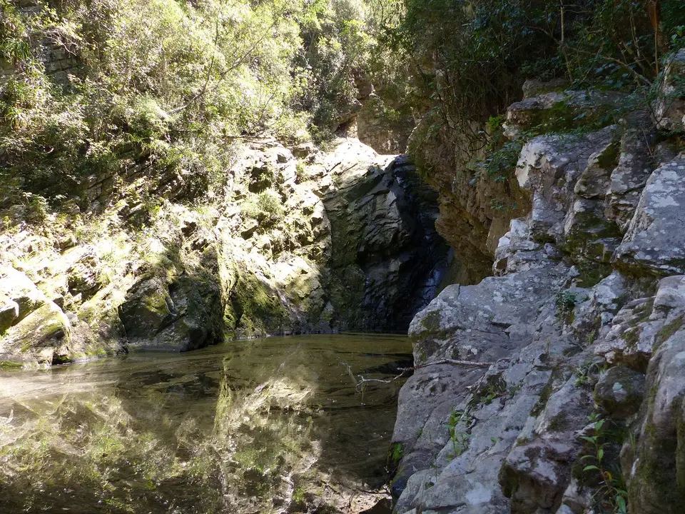 k-P1080011.JPG