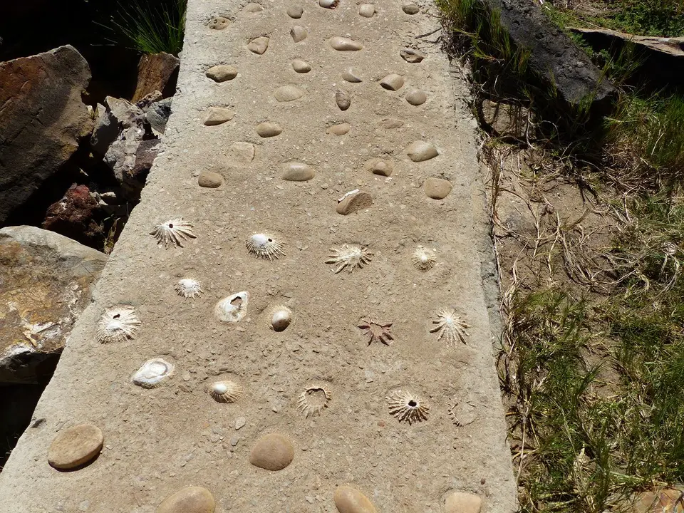 k-P1080322.JPG