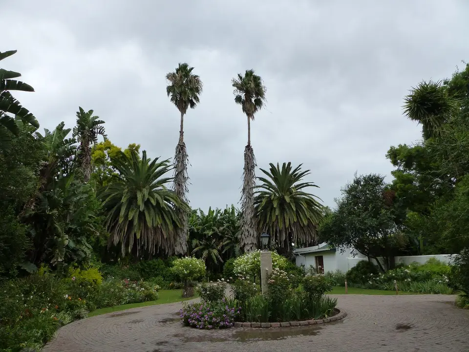 k-P1080366.JPG
