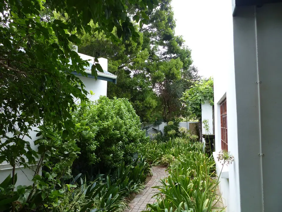 k-P1080367.JPG
