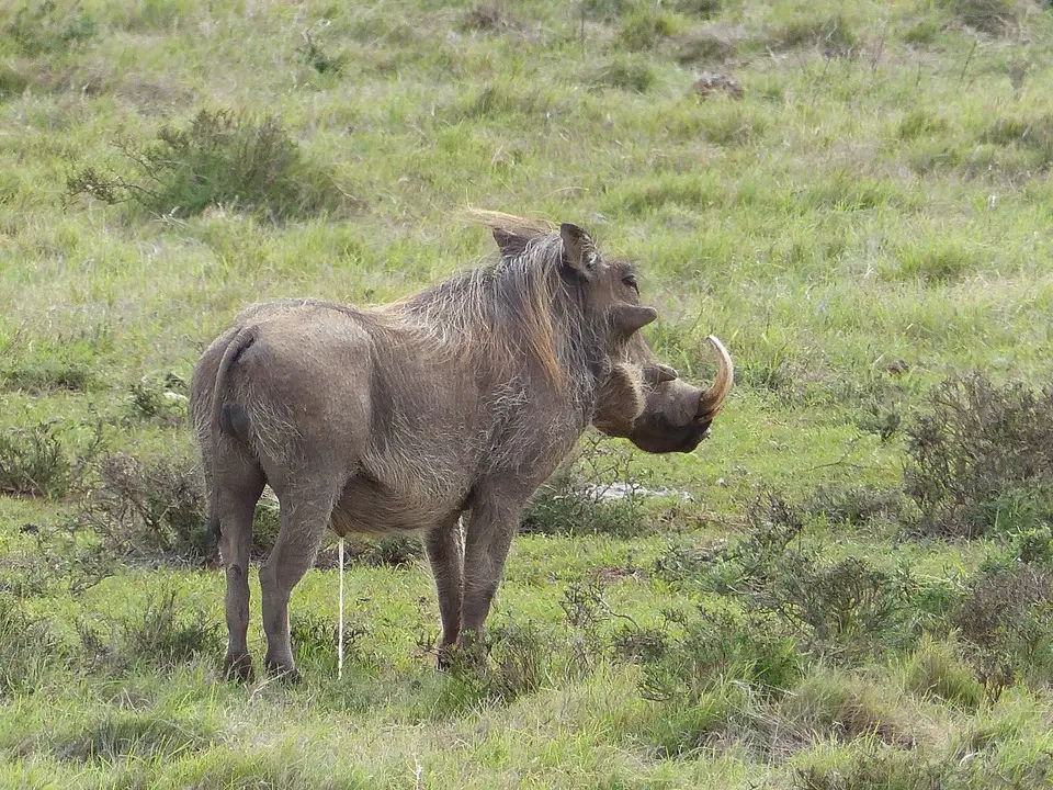 k-P1080471.JPG