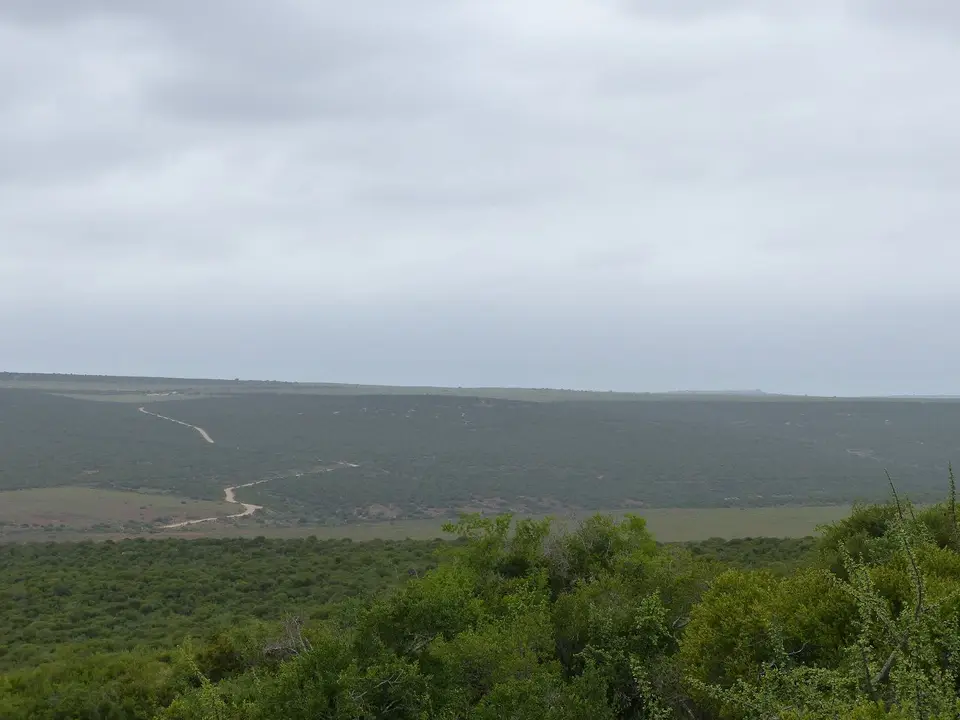 k-P1080627.JPG