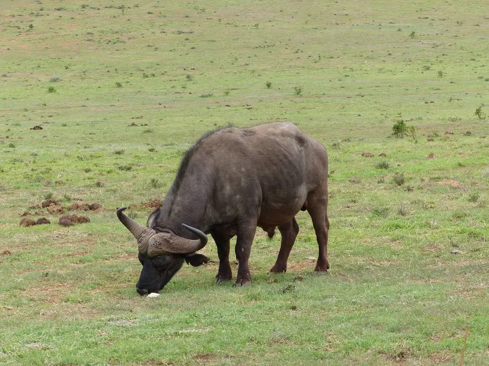 k-P1080656.JPG