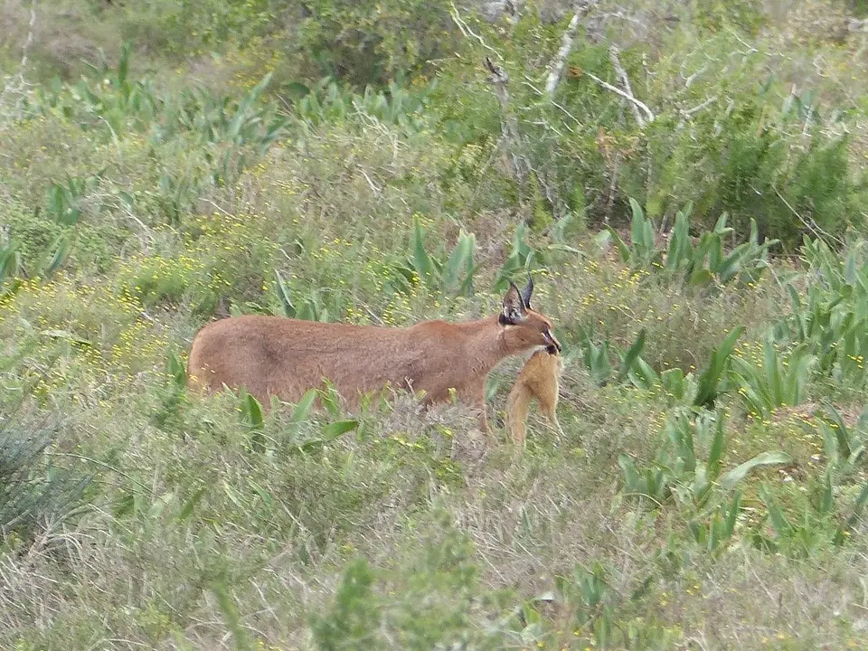 k-P1080723.JPG