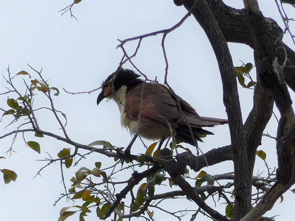 k-P1090308.JPG