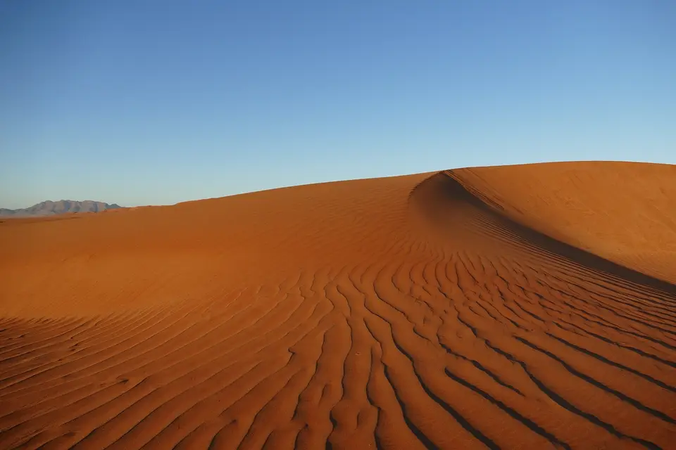 k-P1110903-2.JPG