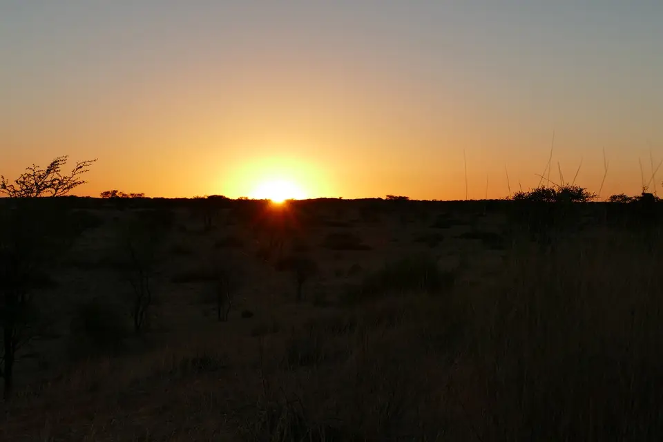 k-P1130110.JPG