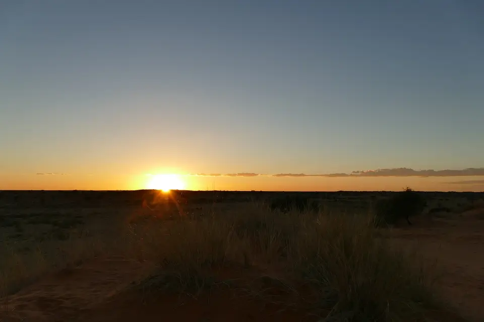 k-P1130209.JPG