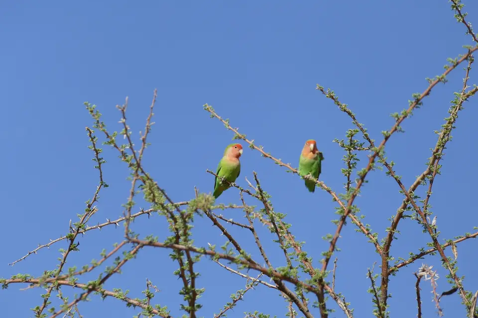 k-P1130279.JPG