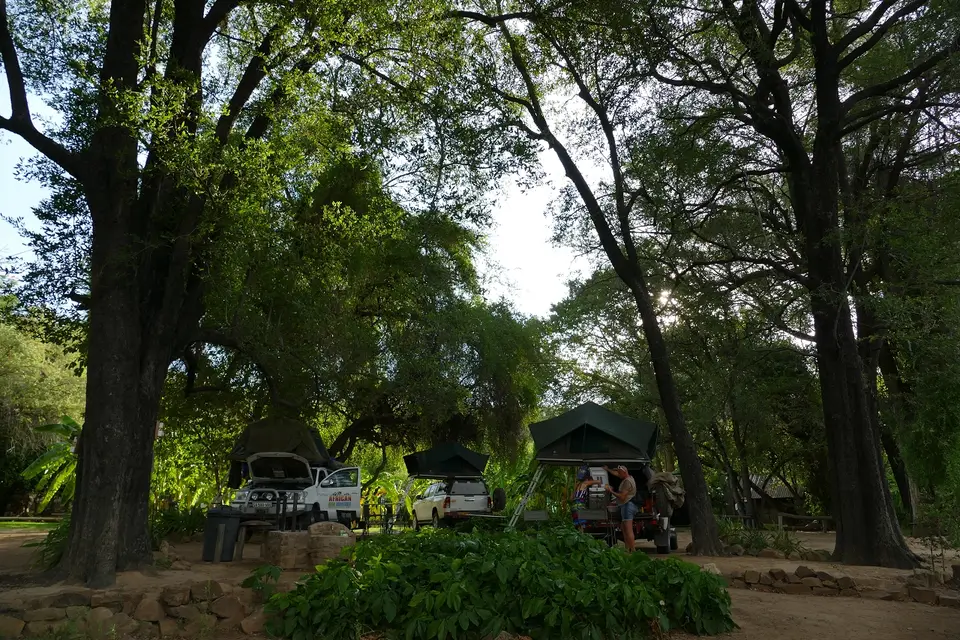 k-P1140392.JPG