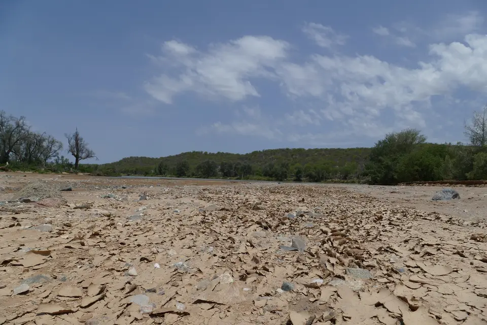 k-P1140487.JPG