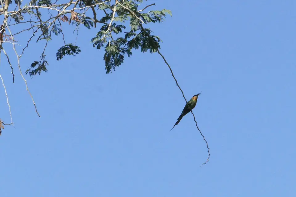k-P1150102.JPG