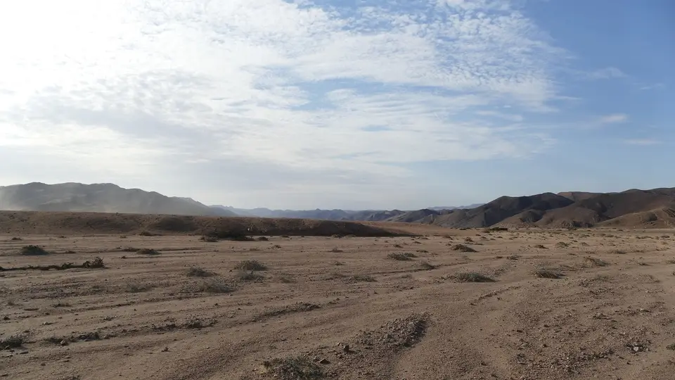 k-P1150434.JPG