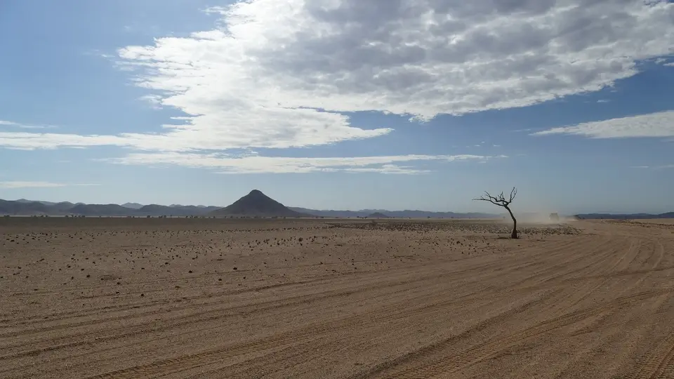 k-P1150494-2.JPG