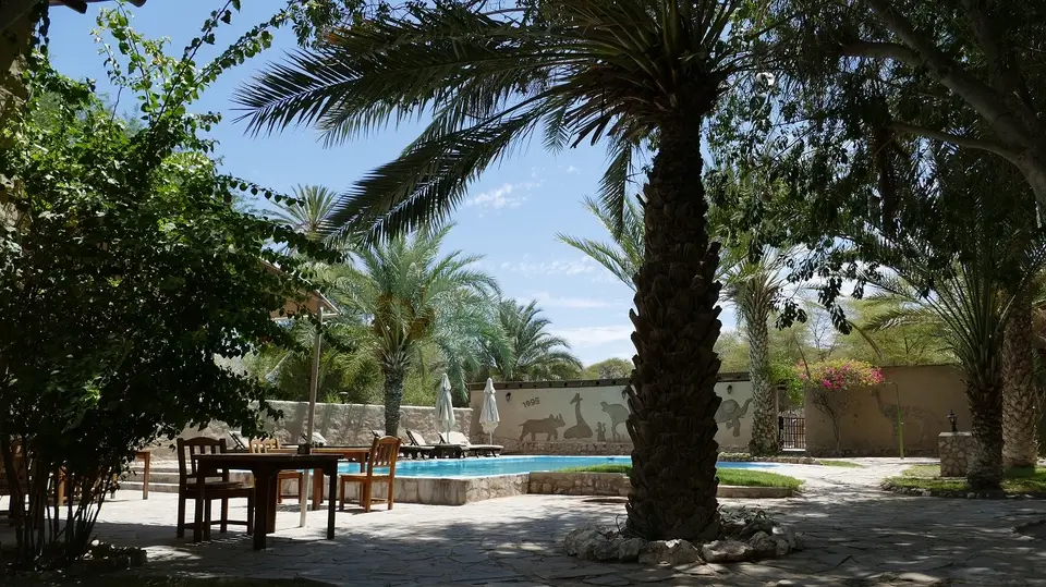 k-P1150759.JPG