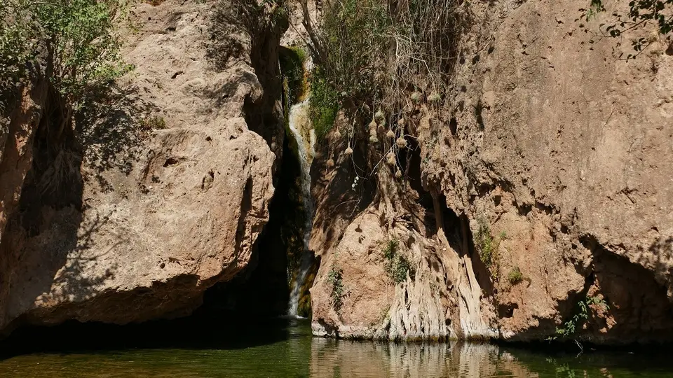 k-P1150768.JPG