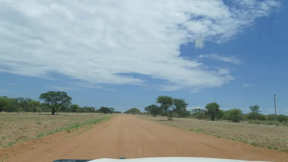 k-P1160169.JPG