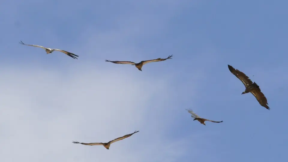 k-P1160179.JPG