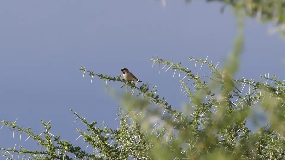 k-P1160237.JPG