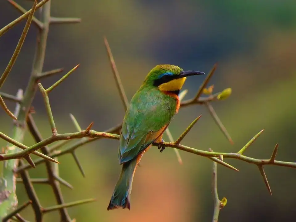 k-k-IMG_9671.JPG