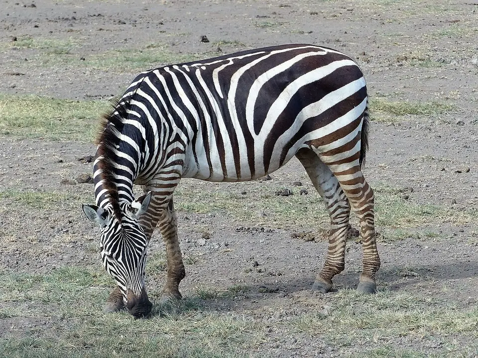 k-k-P1060803.JPG