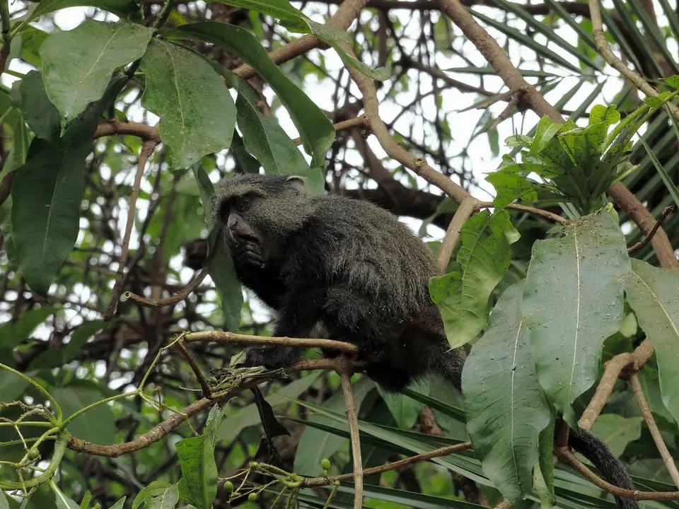 k-k-P1070446.JPG
