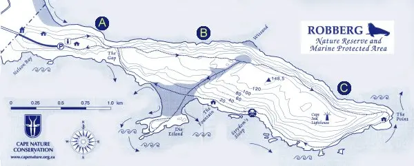 plettrob16.jpg