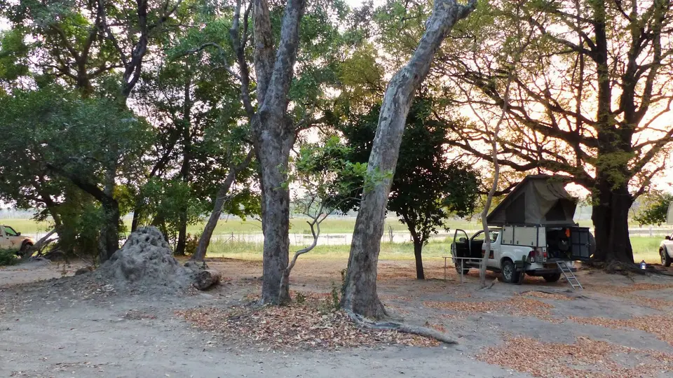 P1000011.JPG