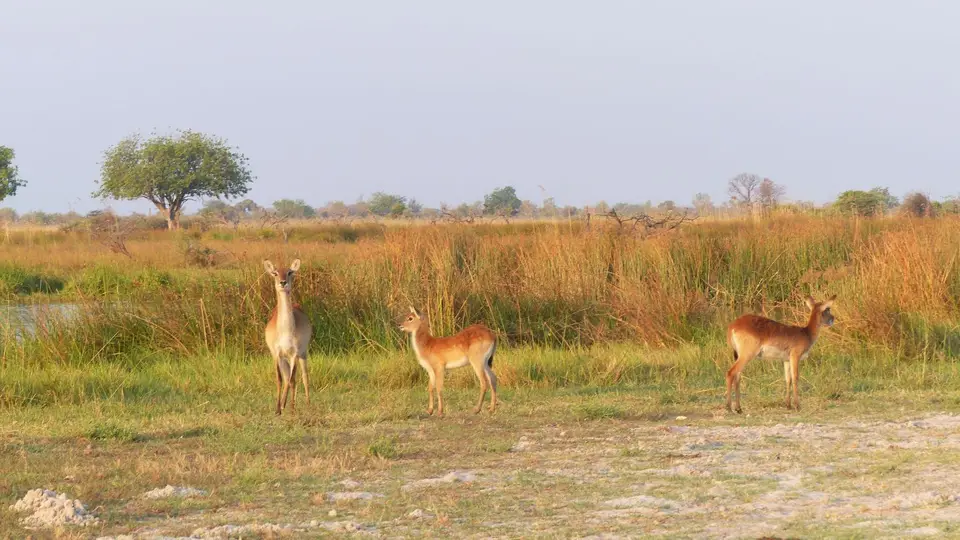 P1000431.JPG