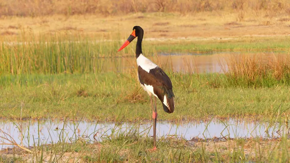 P1000434.JPG