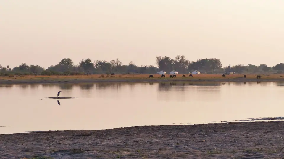 P1000463.JPG