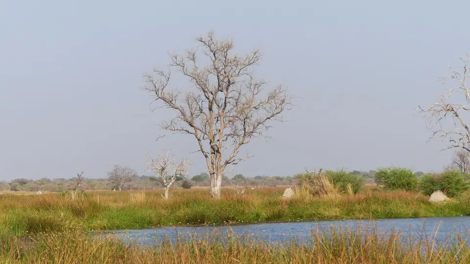 P1000538.JPG