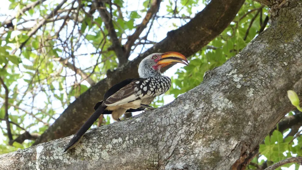 P1000566.JPG