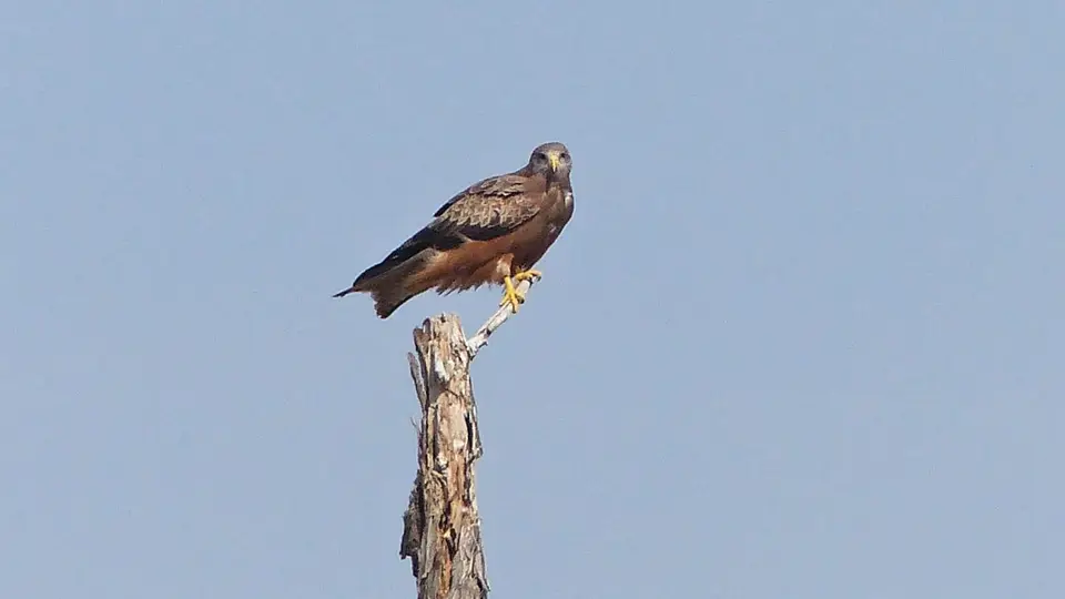 P1000642.JPG