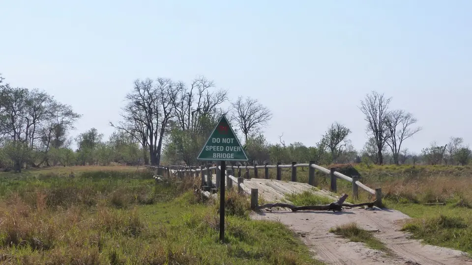 P1000647.JPG