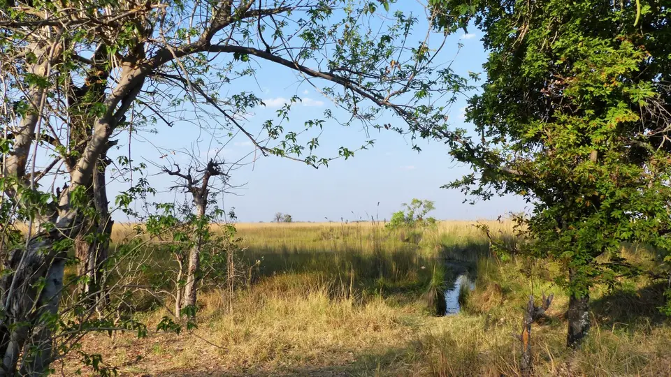 P1000773.JPG