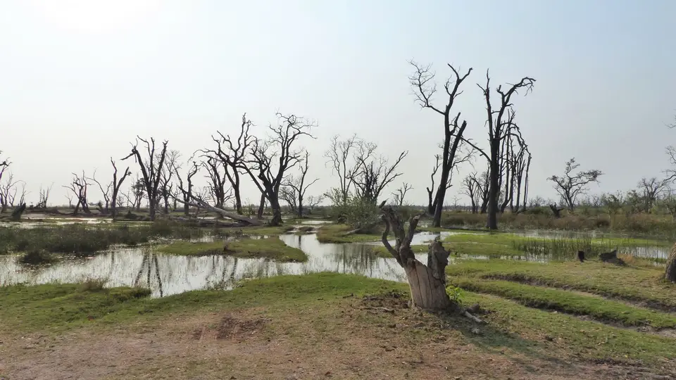 P1000835.JPG