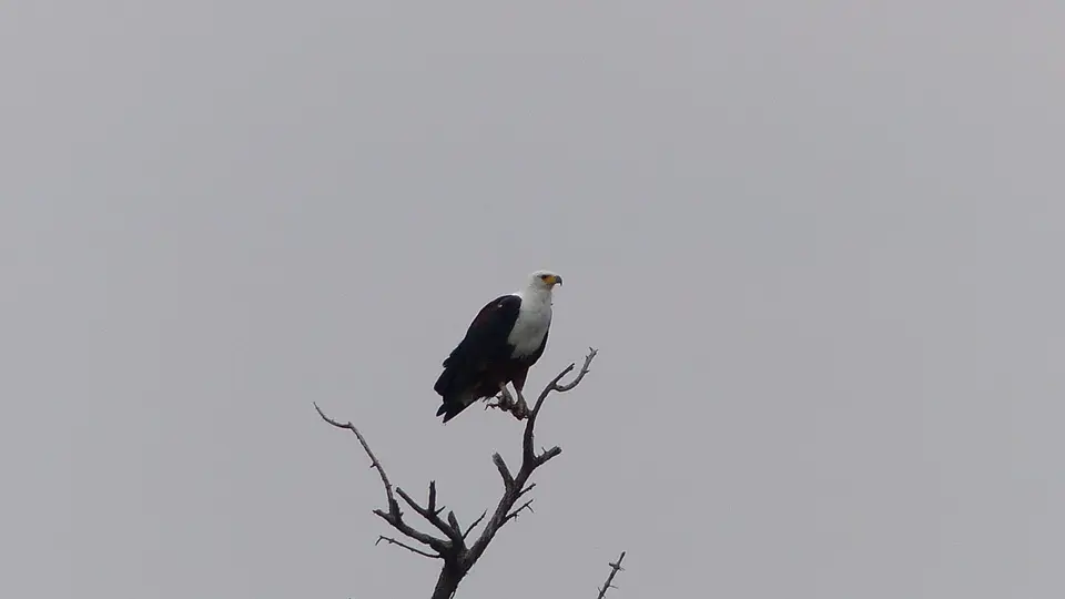 P1010050.JPG