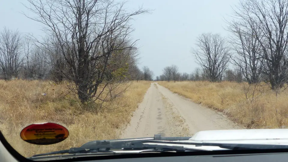 P1010264.JPG