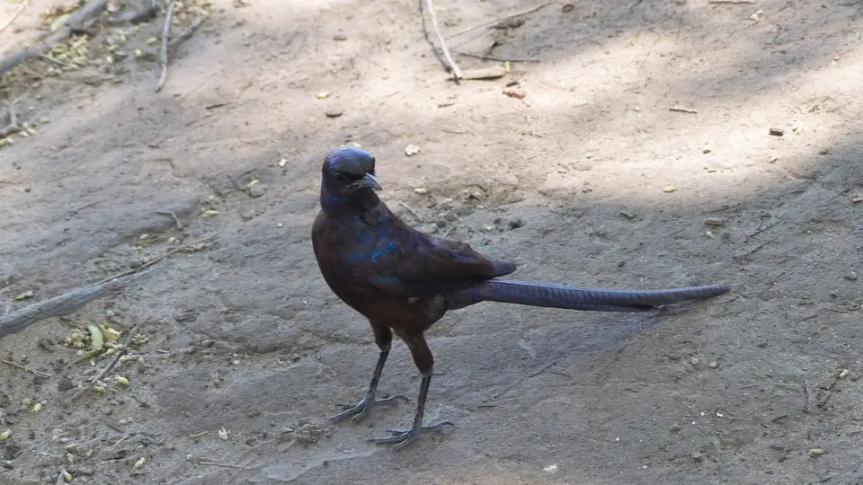 P1010542.JPG