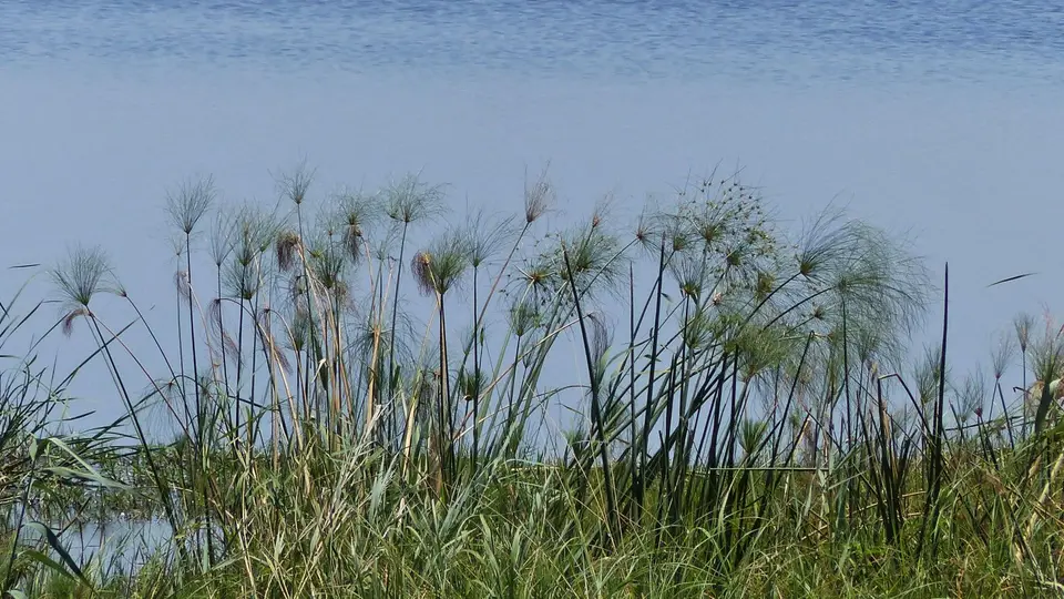P1010557.JPG