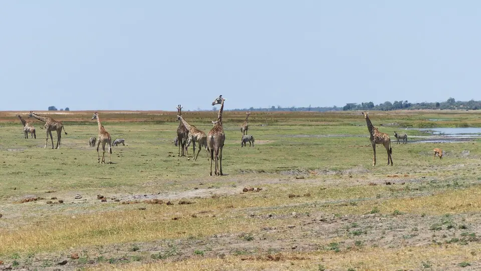 P1010817.JPG