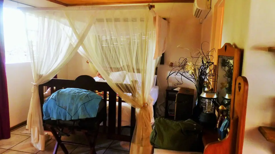 P1020012-2.JPG