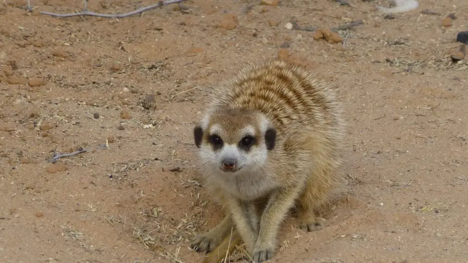 P1070607.JPG
